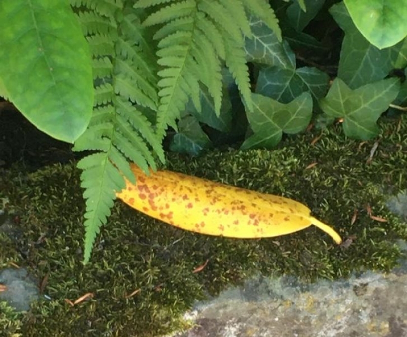 14 times ordinary things told us: "Life is beautiful" 14 times ordinary things told us: "Life is beautiful"