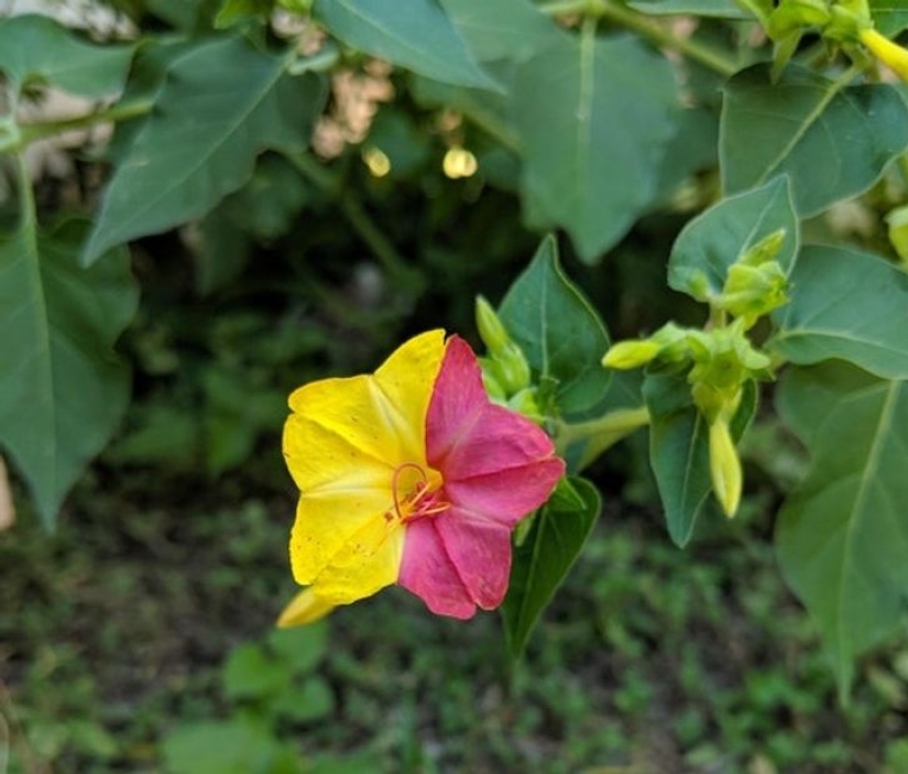 14 times ordinary things told us: "Life is beautiful" 14 times ordinary things told us: "Life is beautiful"