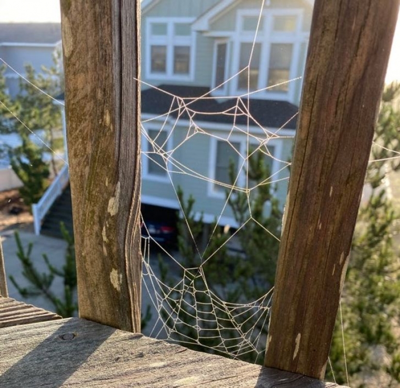 14 times ordinary things told us: "Life is beautiful" 14 times ordinary things told us: "Life is beautiful"