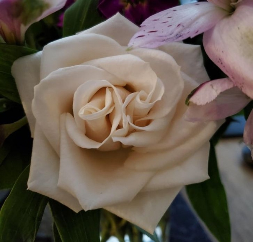 14 times ordinary things told us: "Life is beautiful" 14 times ordinary things told us: "Life is beautiful"