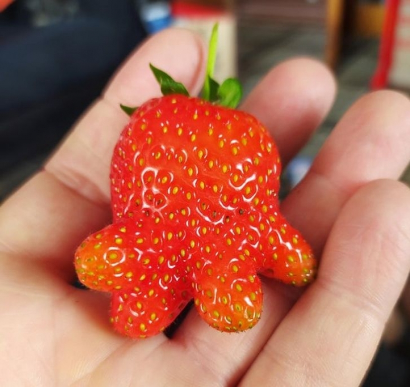 14 times ordinary things told us: "Life is beautiful" 14 times ordinary things told us: "Life is beautiful"