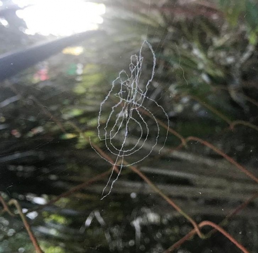 14 times ordinary things told us: "Life is beautiful" 14 times ordinary things told us: "Life is beautiful"