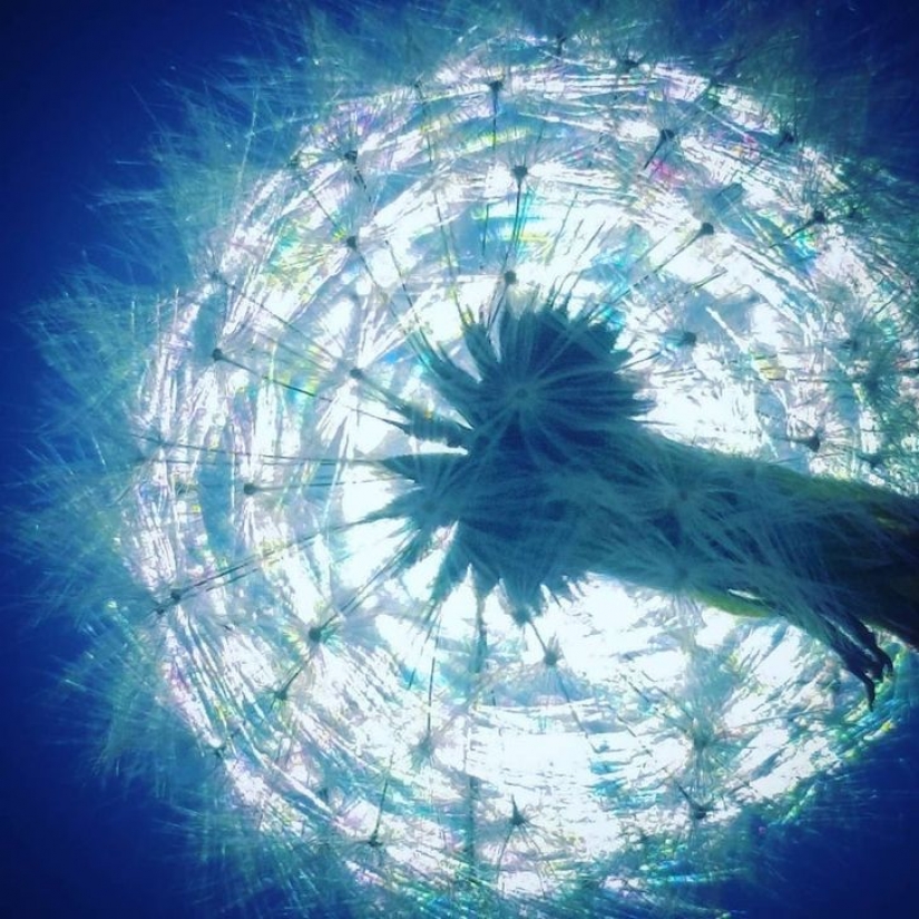 14 times ordinary things told us: "Life is beautiful" 14 times ordinary things told us: "Life is beautiful"