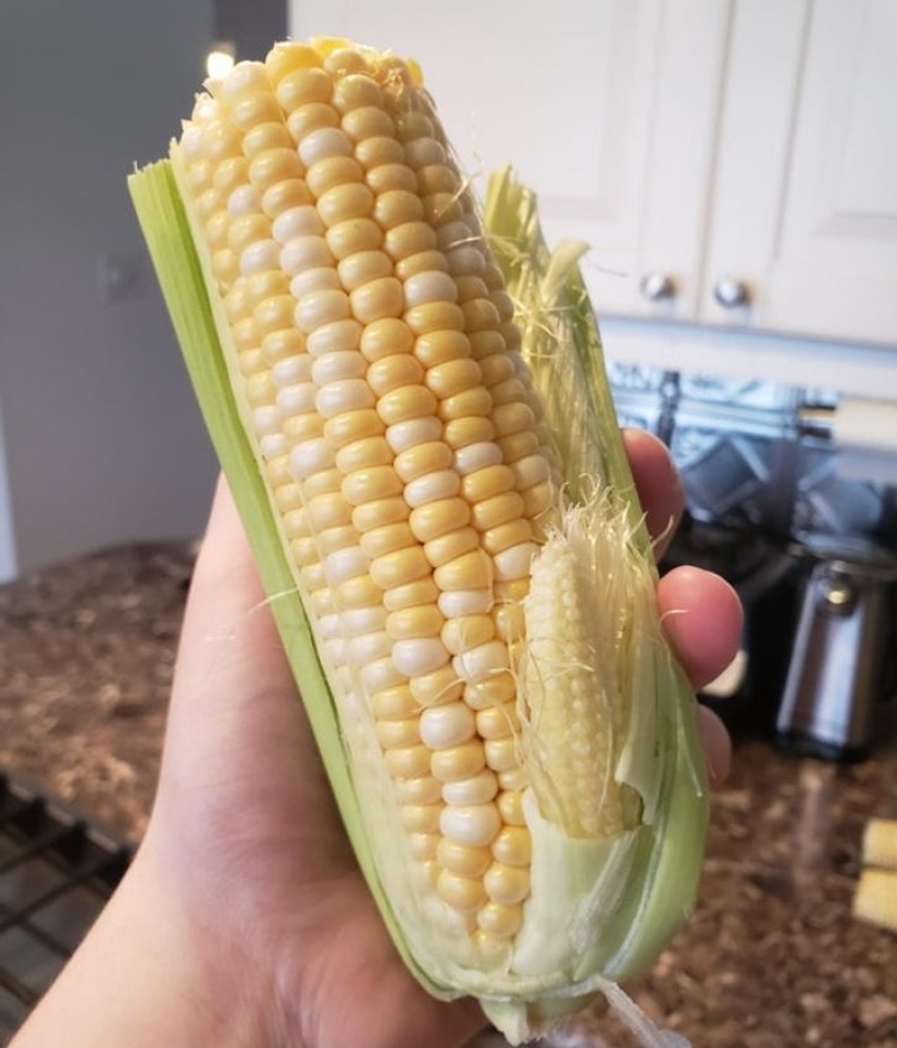 14 times ordinary things told us: "Life is beautiful" 14 times ordinary things told us: "Life is beautiful"