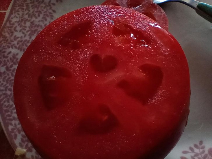 14 times ordinary things told us: "Life is beautiful" 14 times ordinary things told us: "Life is beautiful"