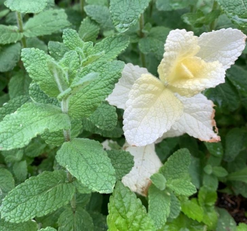 14 times ordinary things told us: "Life is beautiful" 14 times ordinary things told us: "Life is beautiful"