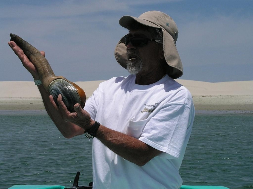 15 animals that are older than your grandparents