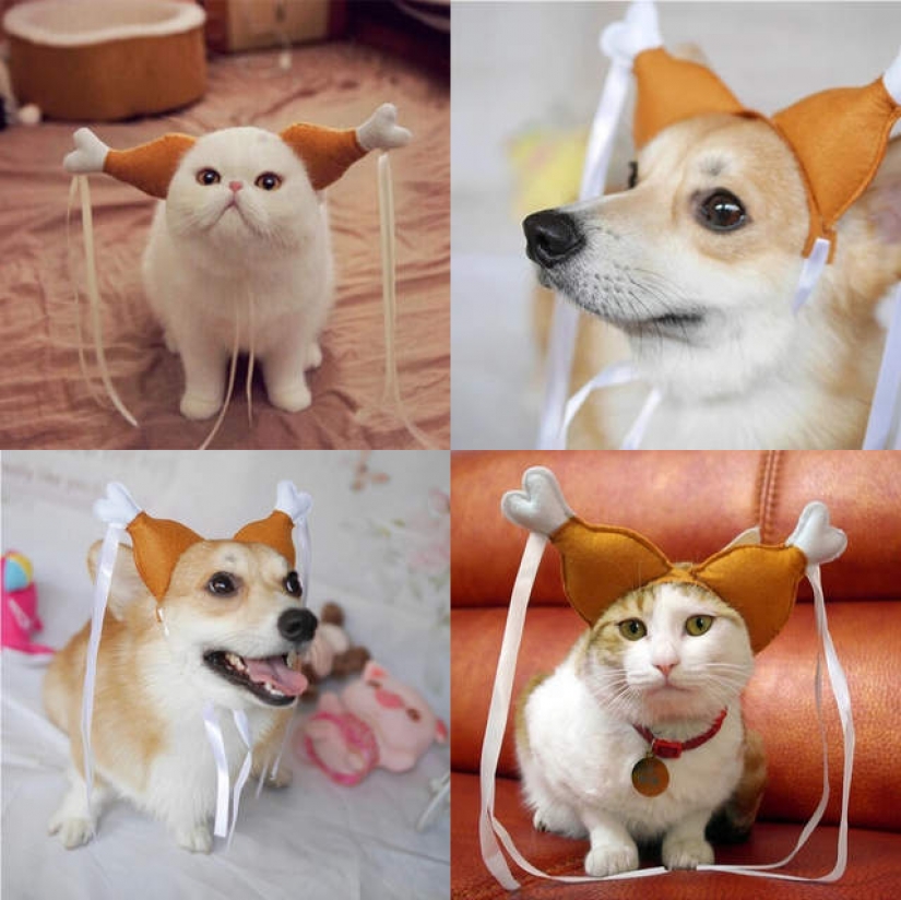 15 divertidos disfraces para mascotas de AliExpress 15 divertidos disfraces para mascotas de AliExpress