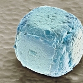 15 fascinating product photos under the microscope