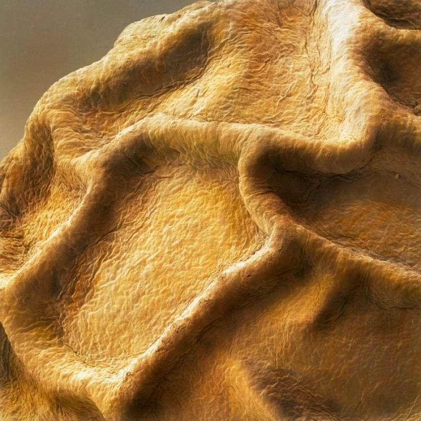 15 fascinating product photos under the microscope 15 fascinating product photos under the microscope