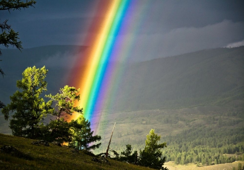15 fotos de la vida silvestre, la más desconocida cosa en la tierra 15 fotos de la vida silvestre, la más desconocida cosa en la tierra
