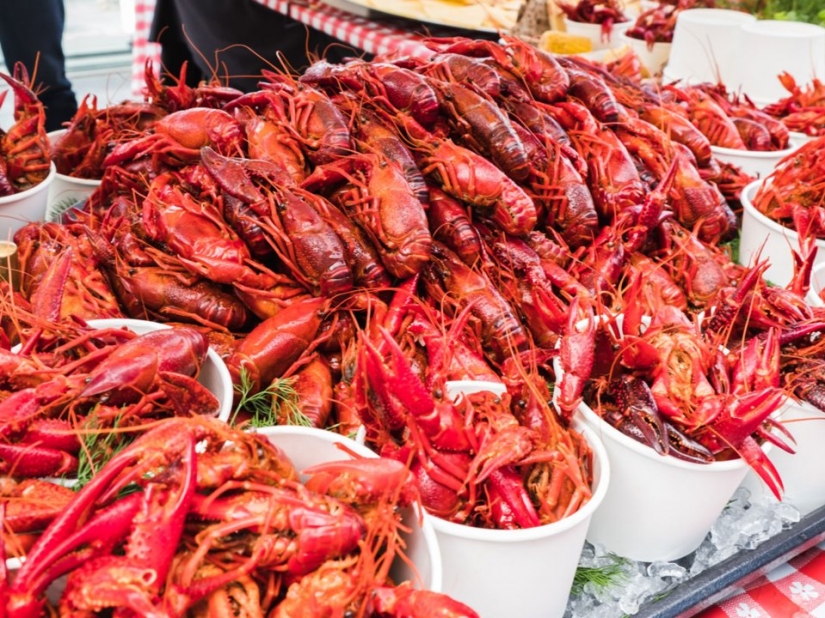 15 fotos que muestran lo que hace que Finlandia sea el país más feliz del mundo