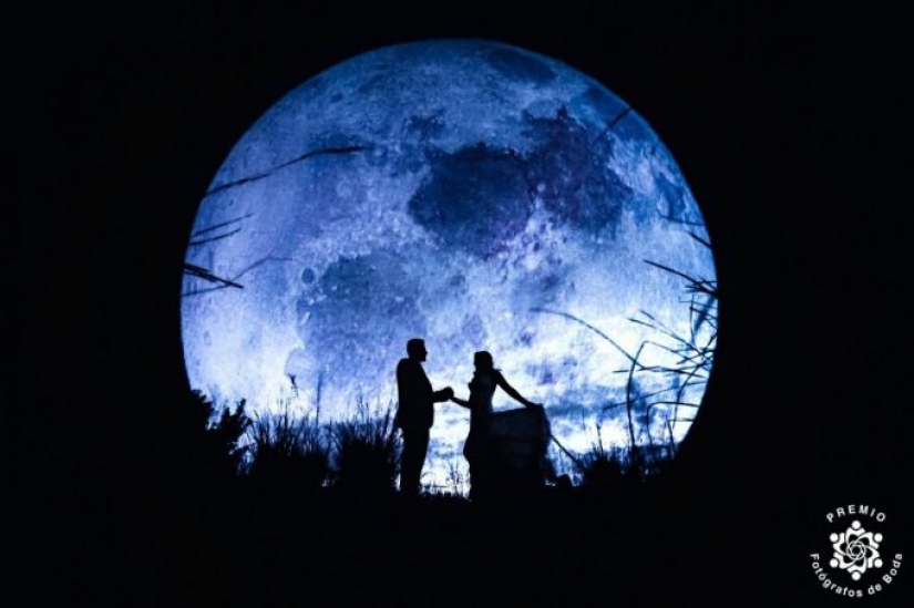 15 heartwarming wedding moments selected by FdB Awards