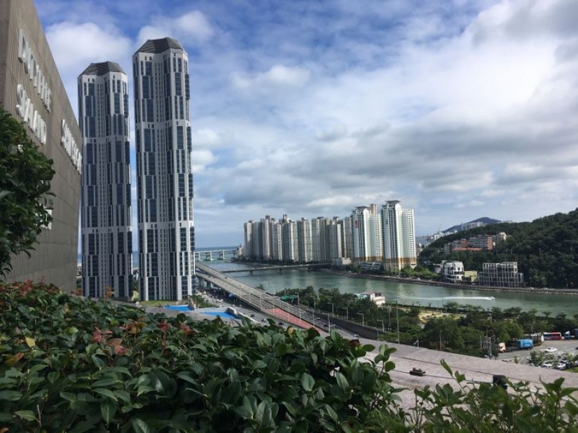 15 hechos que prueban que Corea del Sur es un mundo completamente diferente