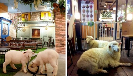 15 hechos que prueban que Corea del Sur es un mundo completamente diferente 15 hechos que prueban que Corea del Sur es un mundo completamente diferente