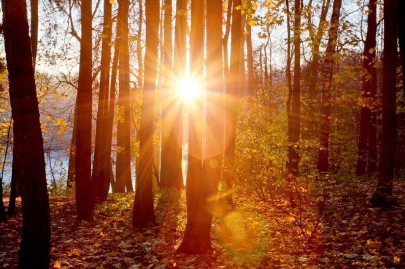 15 lugares donde el otoño es especialmente hermoso