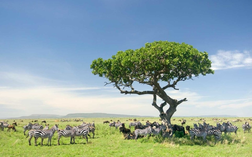 15 países con la naturaleza más bella