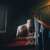 15 people who just wanted to be photographed but received a Renaissance masterpiece