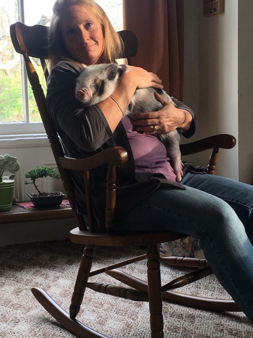 15 personas que solo querían ser fotografiadas pero recibieron una obra maestra del Renacimiento