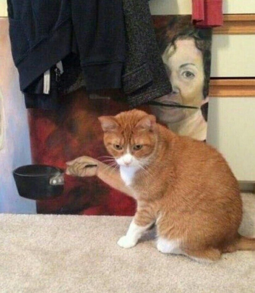 15 photos that can trick you more easily than a wizard