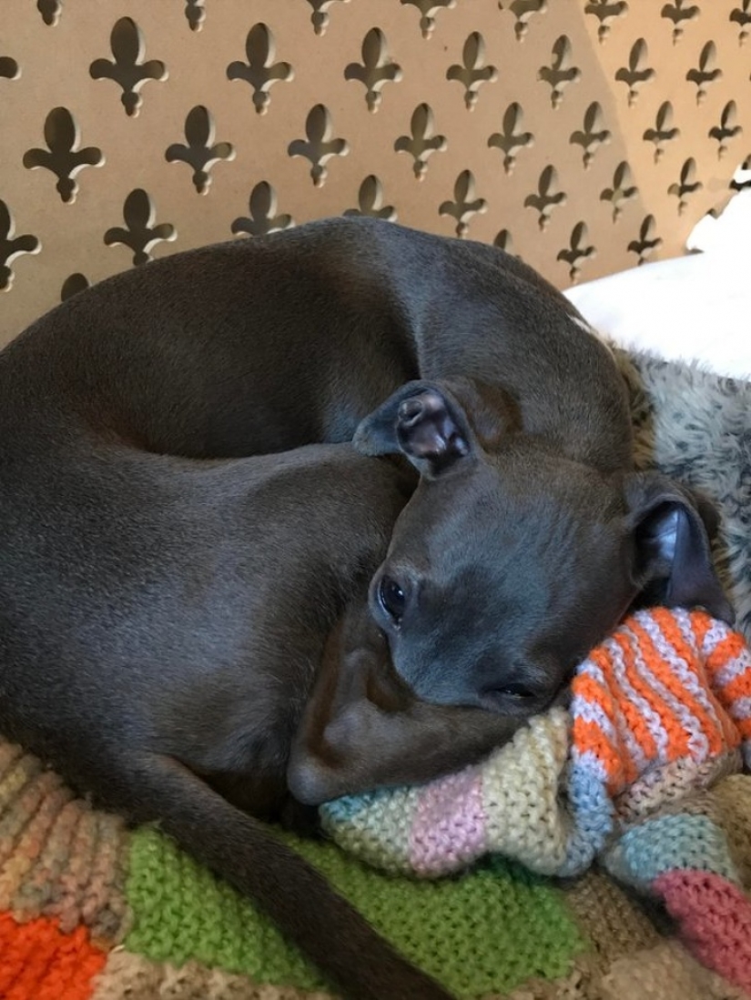 15 photos that can trick you more easily than a wizard