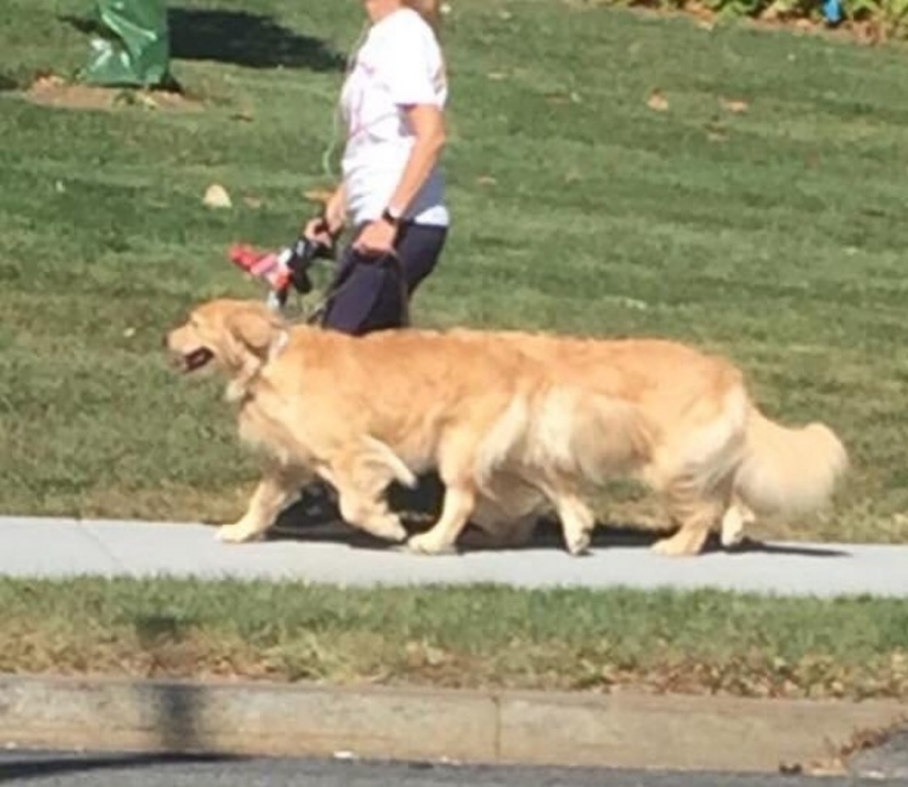 15 photos that can trick you more easily than a wizard