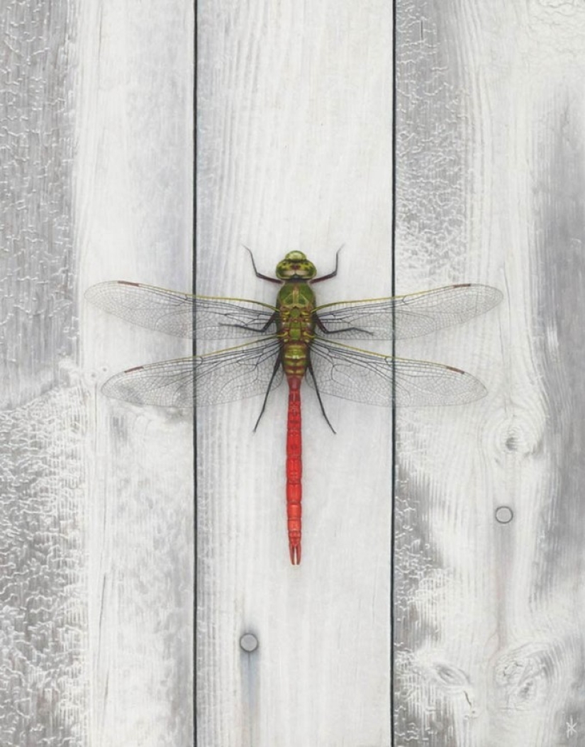 15 shockingly realistic paintings 15 shockingly realistic paintings