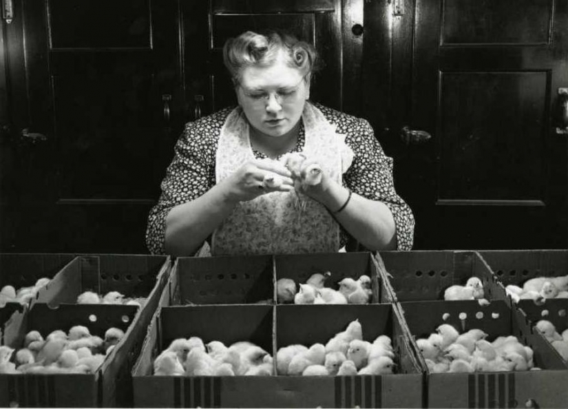 15 strange professions that pay very real money for them 15 strange professions that pay very real money for them