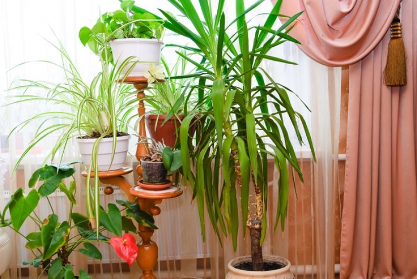 15 things that can make any apartment look cheap