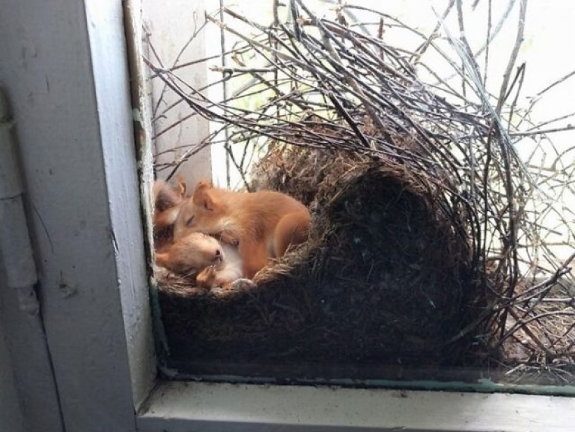 15 veces que las personas notaron algo maravilloso en la naturaleza y tuvieron que compartirlo en Internet 15 veces que las personas notaron algo maravilloso en la naturaleza y tuvieron que compartirlo en Internet