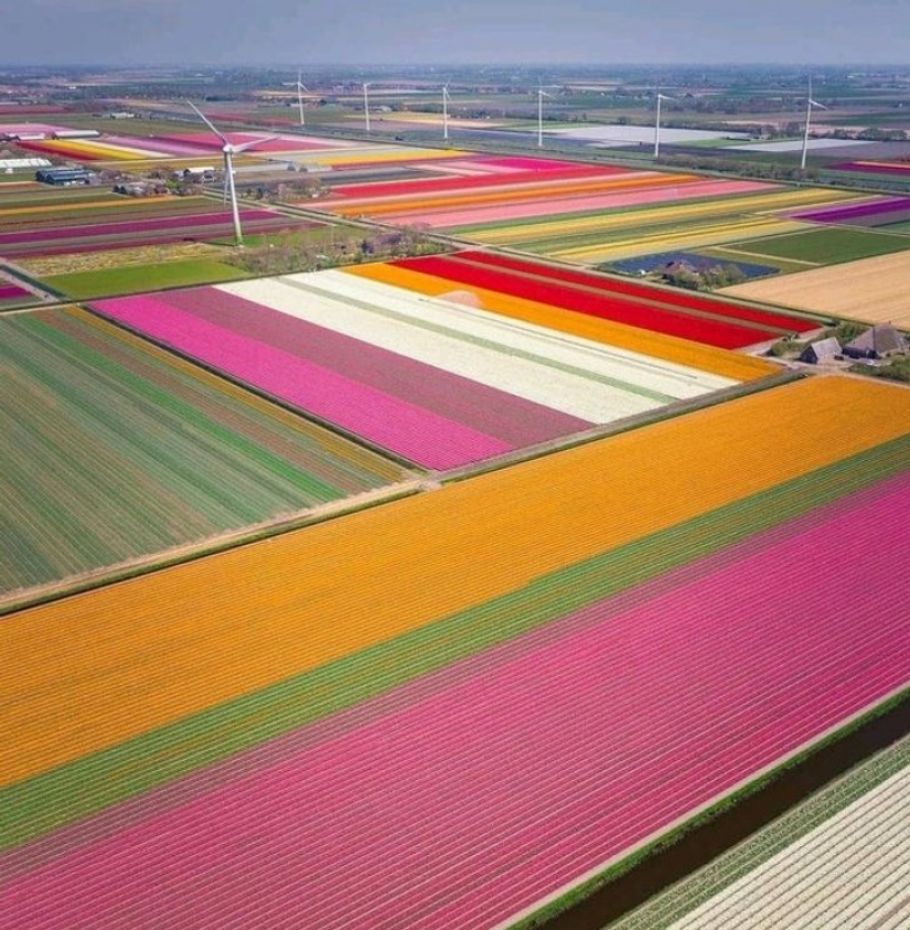 16 fotos que muestran los verdaderos colores del país en el que fueron tomadas 16 fotos que muestran los verdaderos colores del país en el que fueron tomadas