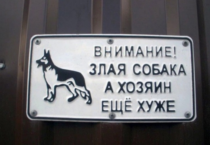 16 platos de los propietarios con un gran sentido del humor