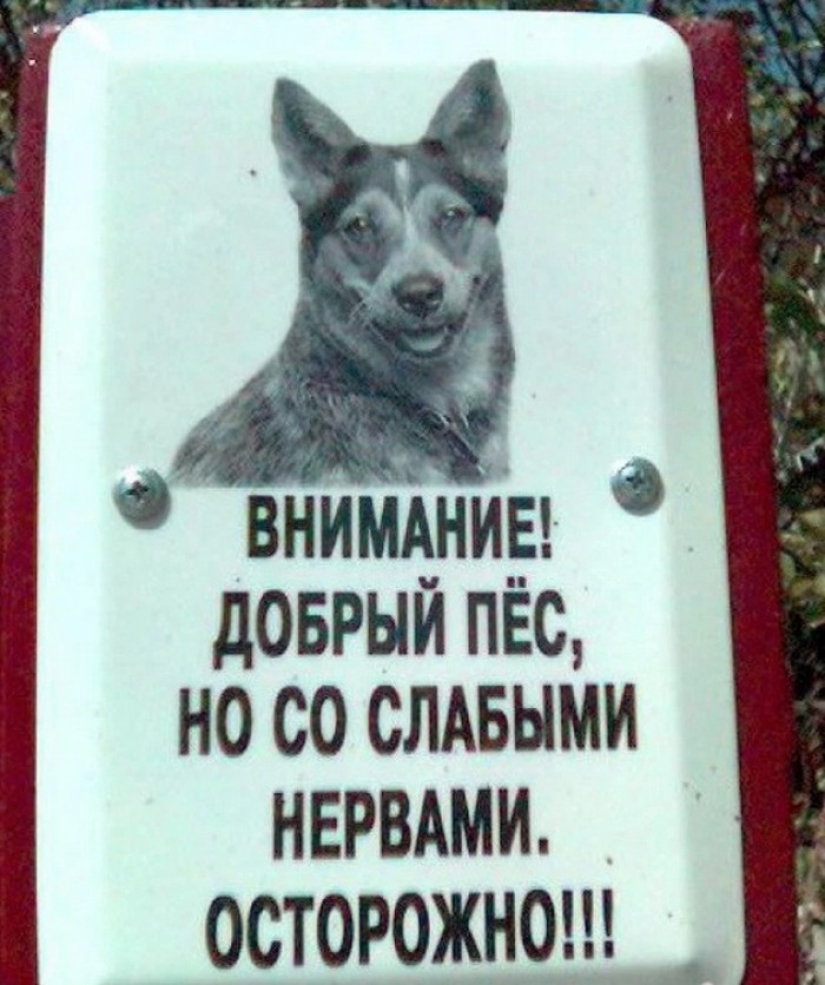 16 platos de los propietarios con un gran sentido del humor