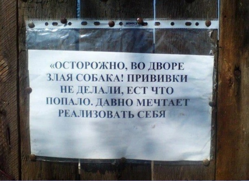 16 platos de los propietarios con un gran sentido del humor