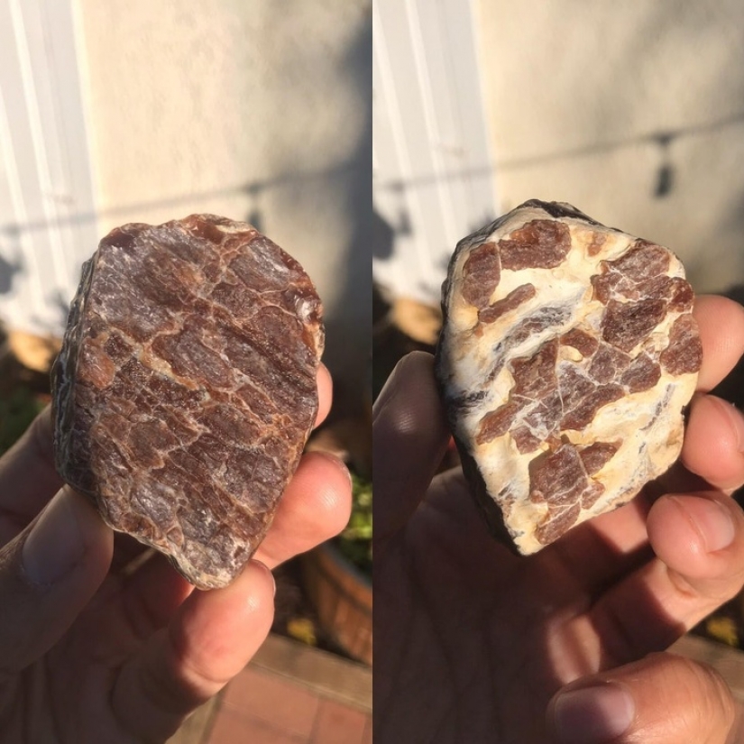 16 times nature tried to confuse us and really succeeded