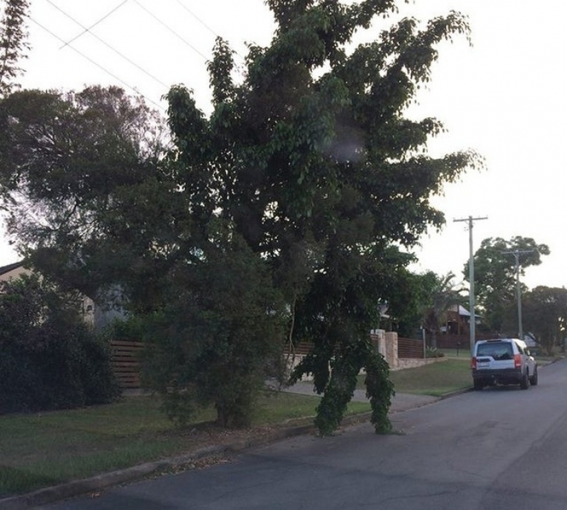 16 times nature tried to confuse us and really succeeded