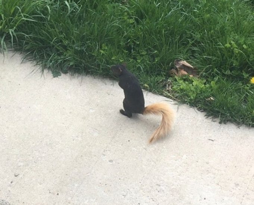 16 times nature tried to confuse us and really succeeded