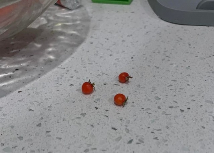 16 times nature tried to confuse us and really succeeded