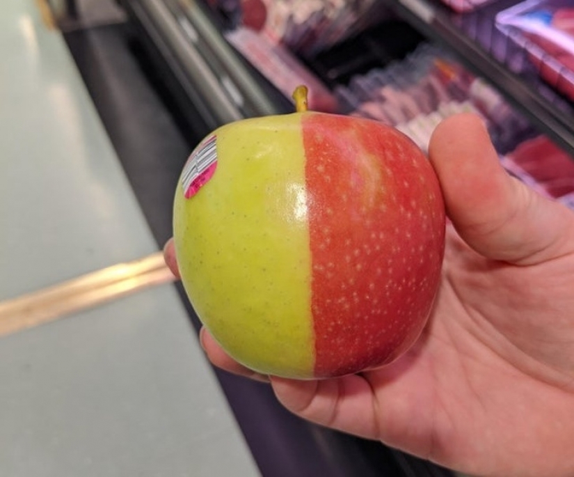 16 times nature tried to confuse us and really succeeded