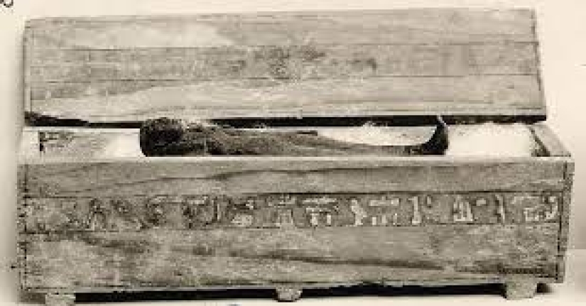 16 weird facts about Tutankhamun