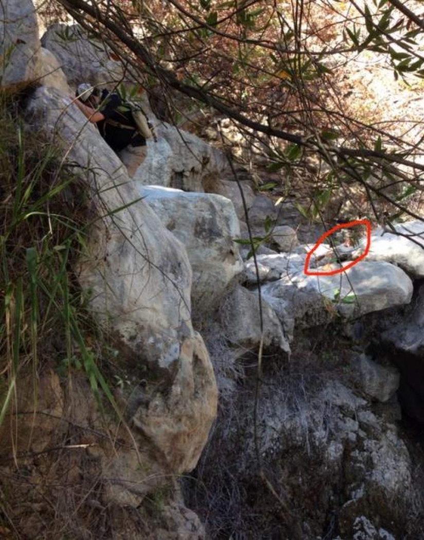 17 fotos que esconden historias inhumanamente espeluznantes