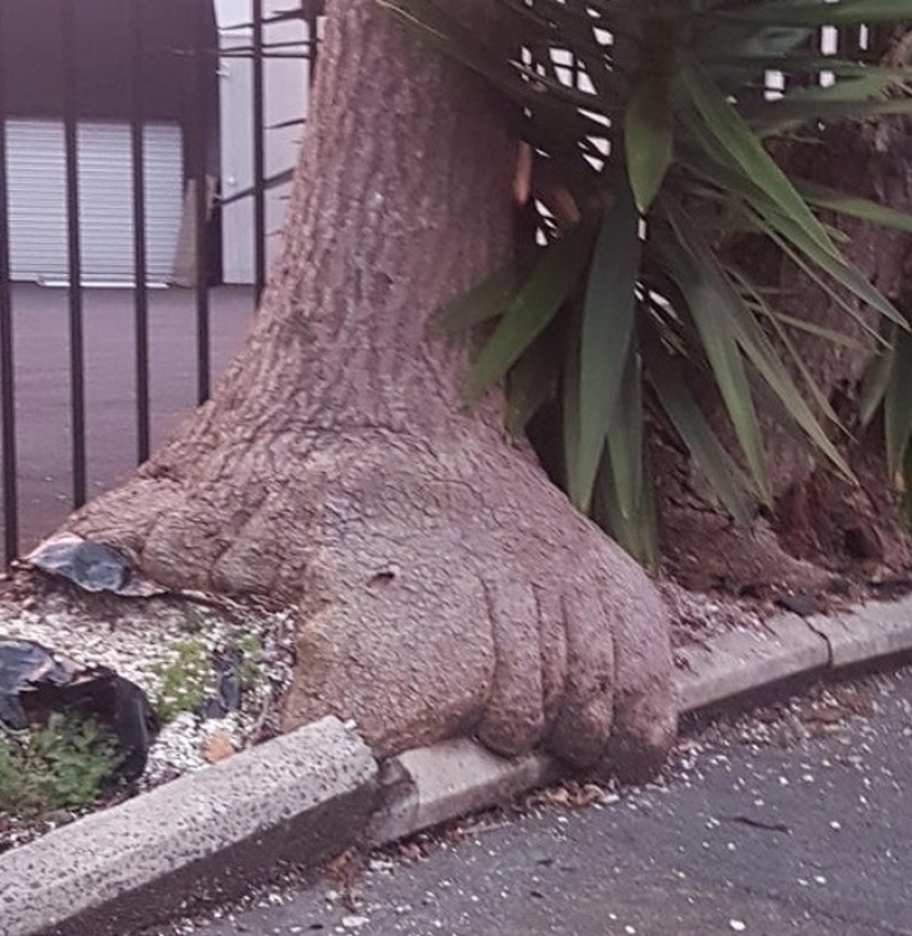 17 mesmerizing photos that will tease your mind