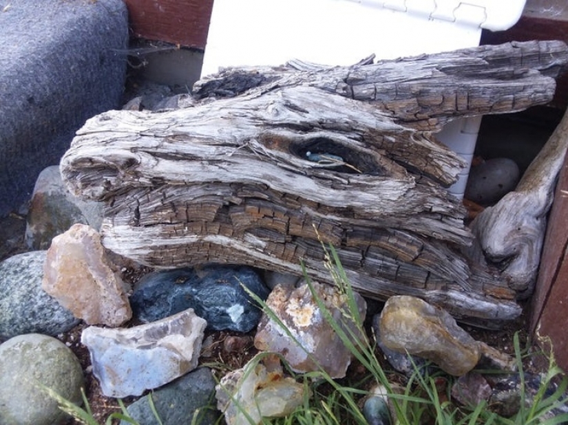 17 mesmerizing photos that will tease your mind