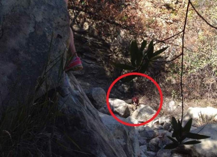 17 photos that hide inhumanly creepy stories