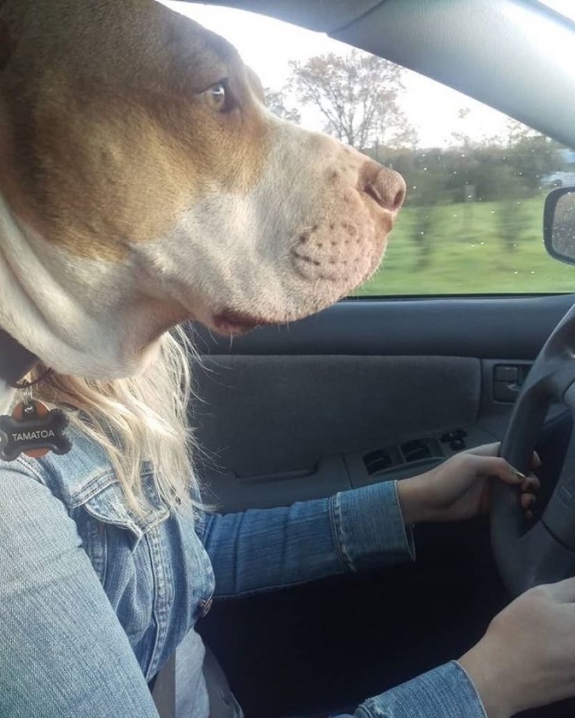 17 photos that take on a different meaning the longer you look at them