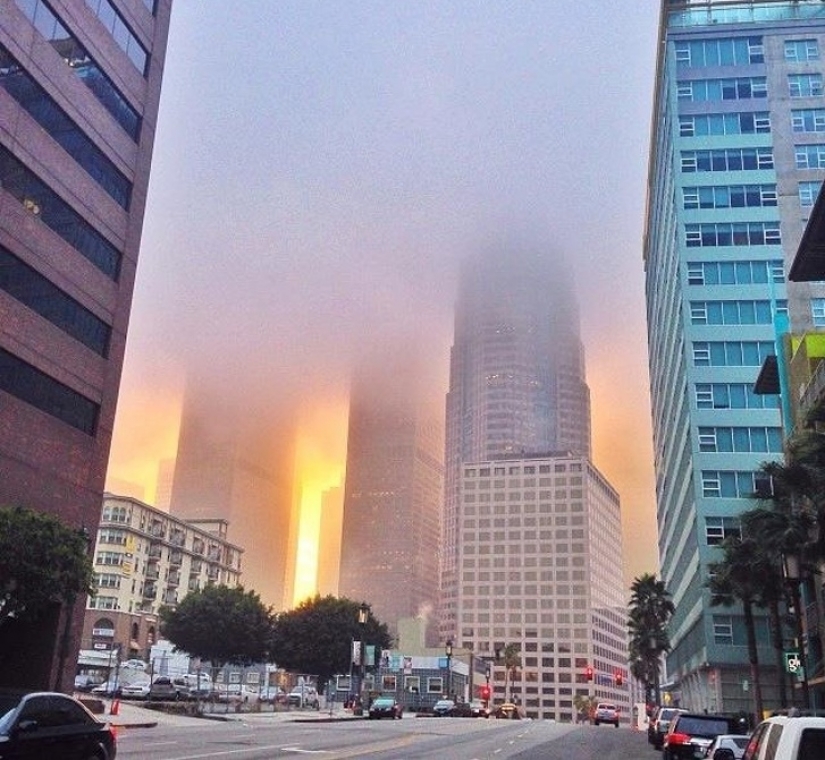 17 photos that take on a different meaning the longer you look at them