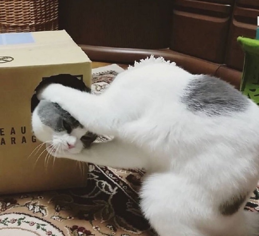 17 photos that take on a different meaning the longer you look at them