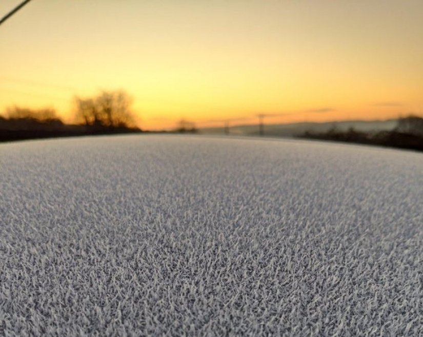 17 photos that take on a different meaning the longer you look at them