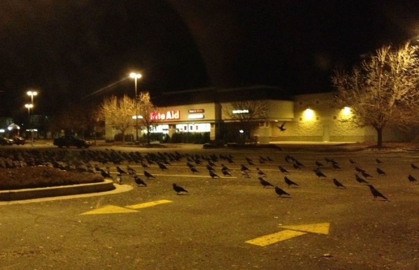 18 photos that will give you goosebumps