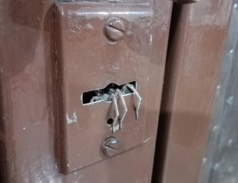 18 photos that will give you goosebumps